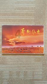 小猫钓鱼游戏龙王版有船